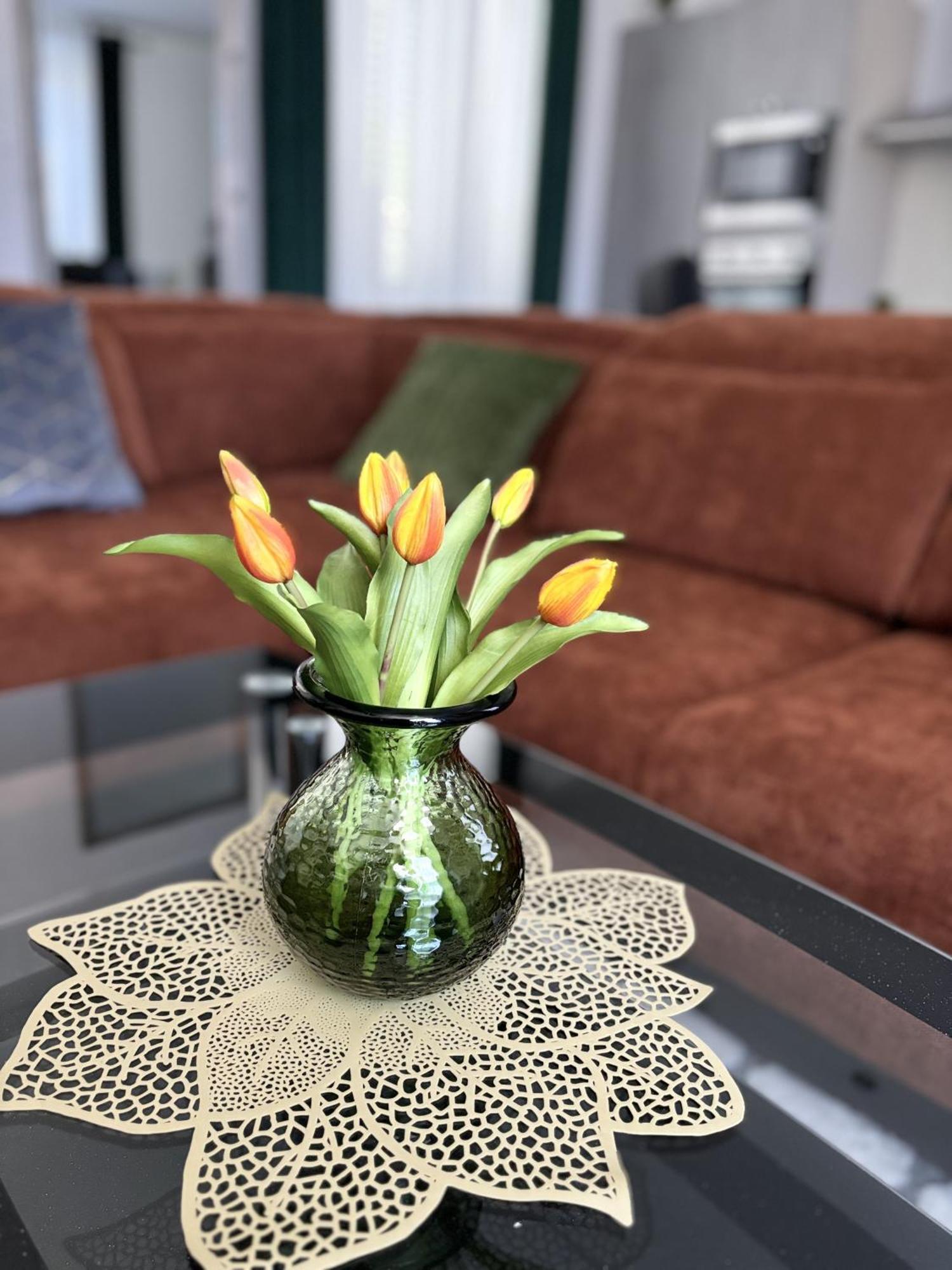 Centar 103 Apartment Σίμπενικ Εξωτερικό φωτογραφία